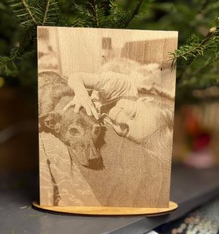 Před vánoci proběhla dobročinná aukce pro opuštěné a týrané pejsky. Námi byl darován do aukce poukaz na fotografii a...